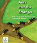 Ants and the Stranger