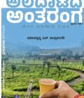 ಅಲೆದಾಟದ ಅಂತರಂಗ