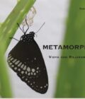 Metamorphosis
