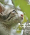 Mishu's Many Questions
