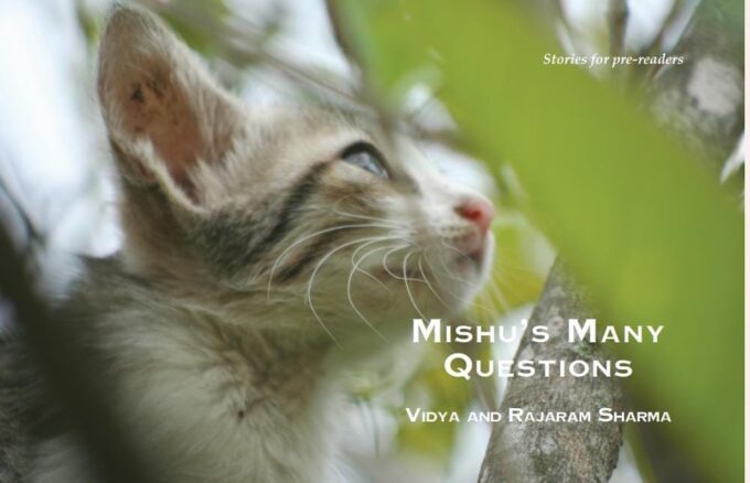 Mishu's Many Questions