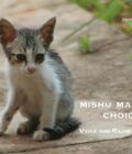 Mishu Makes a Choice