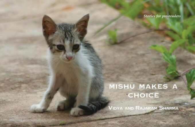 Mishu Makes a Choice