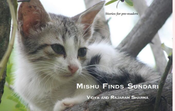 Mishu Finds Sundari