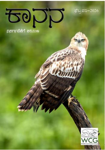 ಕಾನನ : ಫೆಬ್ರವರಿ 2026